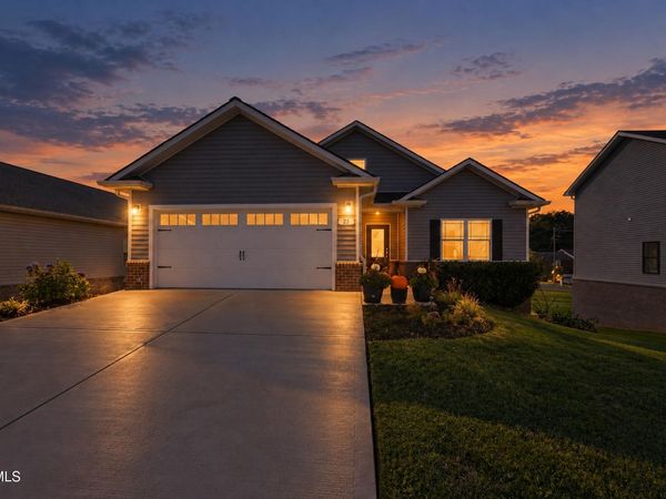 23 Palmetto Court, Gray, TN 37615