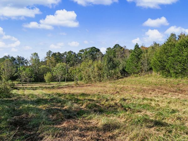 1985 Snake Hollow Road, Greeneville, TN 37743