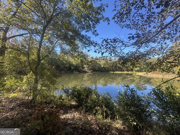 TRACT 9 Butler Road, Franklin, GA 30217