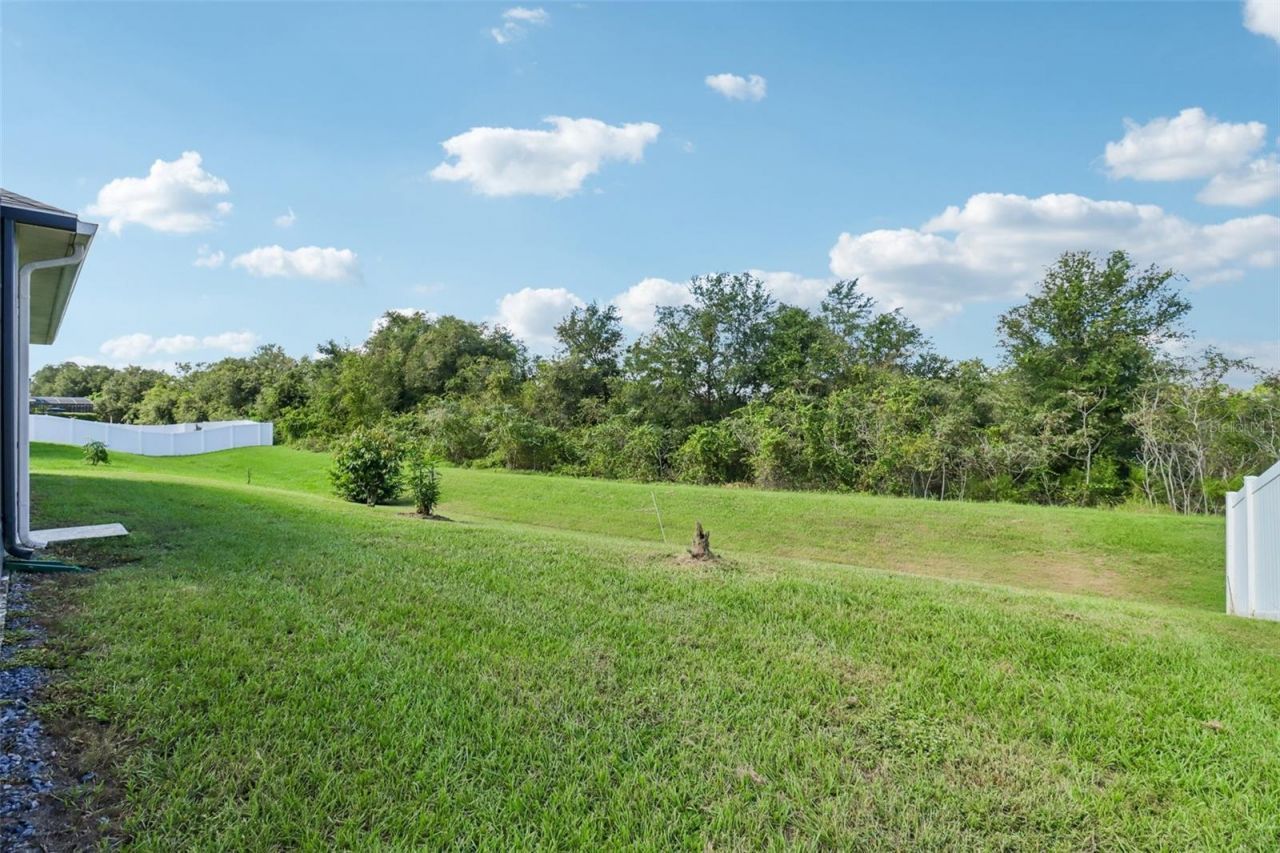 121 Harvest Gate Boulevard , Groveland, FL 34736 Photo