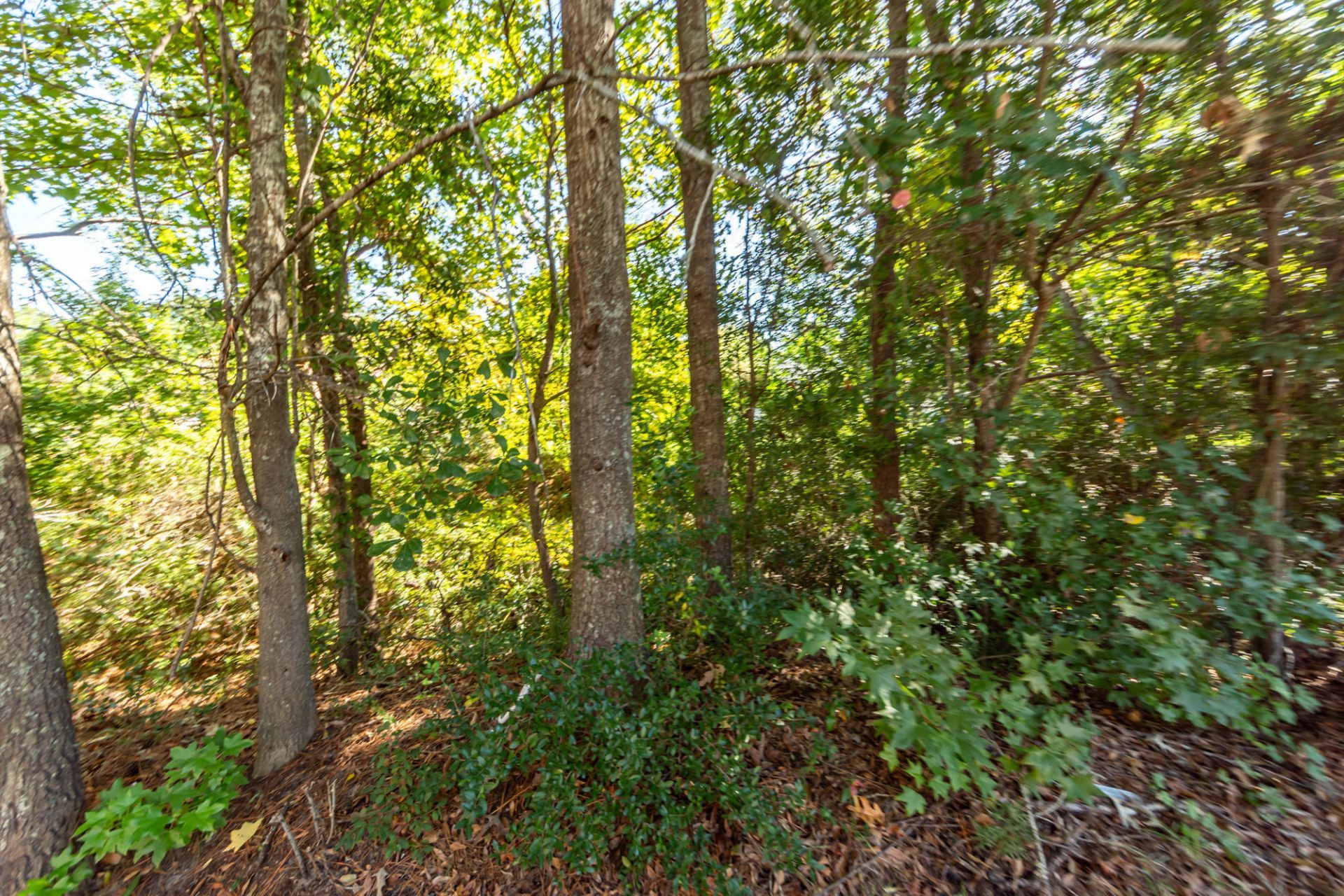7789 Montview Road Photo 33