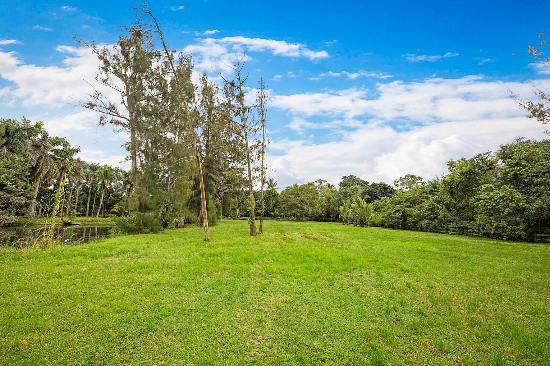 1313 D Road, Loxahatchee Groves, FL 33470 Photo