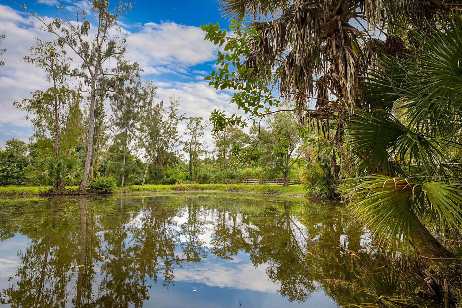 1313 D Road, Loxahatchee Groves, FL 33470 Photo