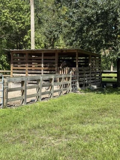 14594 Gruber Lane, Loxahatchee Groves, FL 33470 Photo