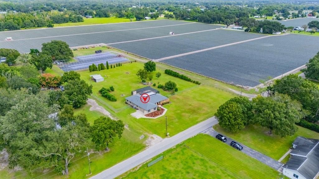 5710 Wo Griffin Road, Plant City, FL 33567 Photo