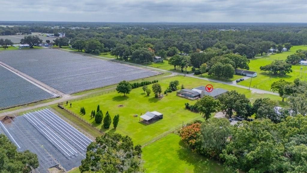 5710 Wo Griffin Road, Plant City, FL 33567 Photo