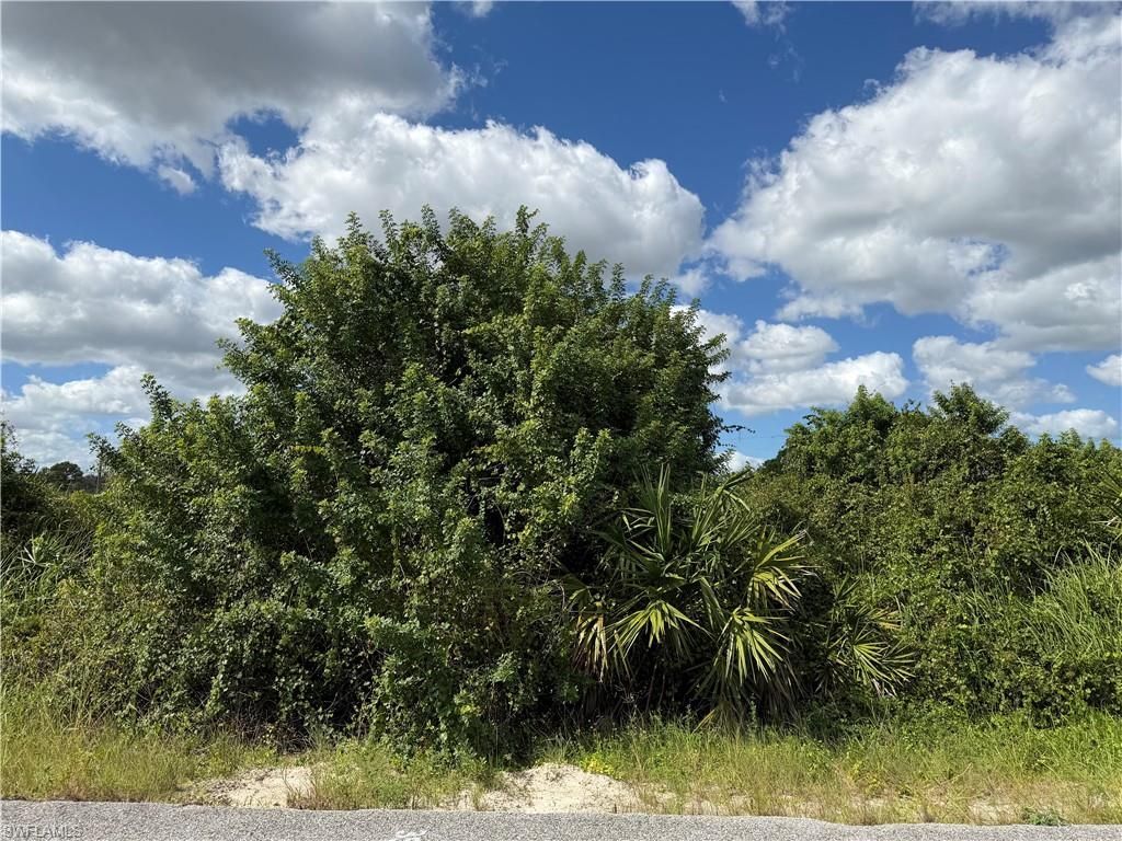1209 Plumosa Ave , Lehigh Acres, FL 33972 Photo