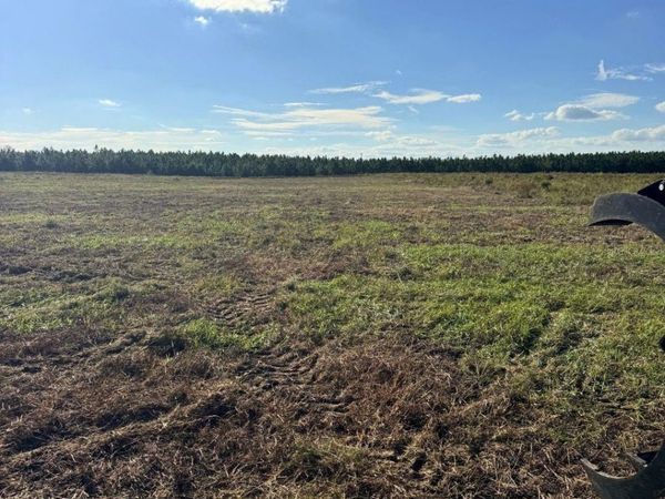 4274 SOUTHWEST 99TH AVENUE , JASPER, FL 32052