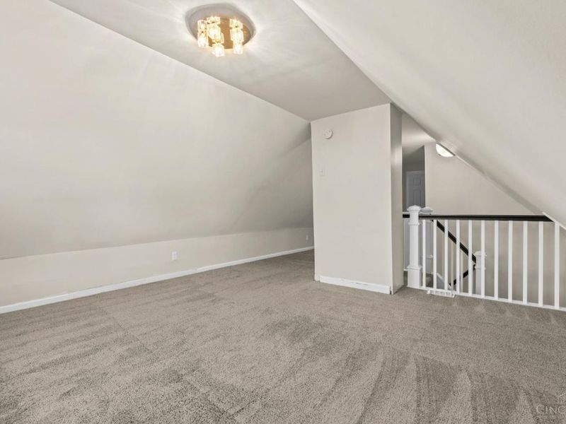 3019 Cleinview Avenue, Cincinnati, OH 45206 Photo 26