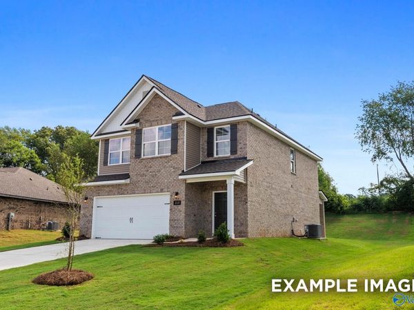 106 Cotita Drive, Toney, AL 35773