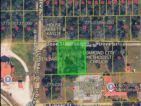 TBD Dove Street , Lead Hill, AR 72644