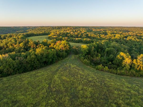 23610 Farm Road 1135 , Cassville, MO 65625