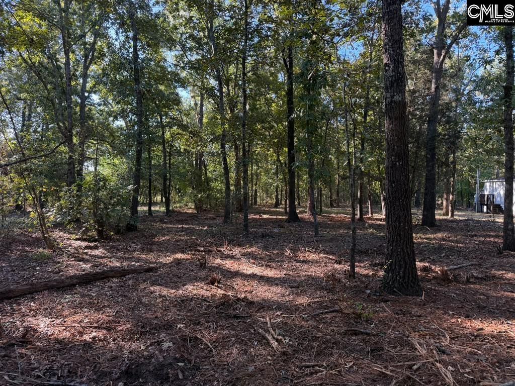 146 Fox Forest Drive  Photo 25