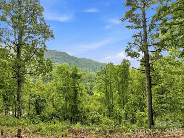 193 Fern Cove Lane , Gerton, NC 28735