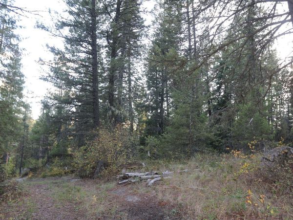 7289 Fertile Valley Rd, Newport, WA 99156