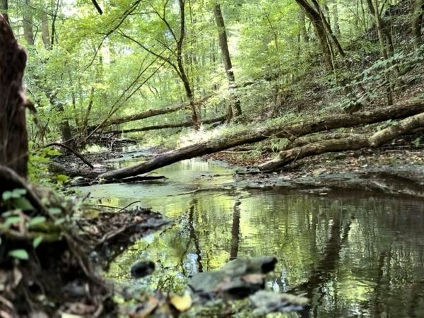 3261 Waterfall Creek Rd, Collinwood, TN 38450
