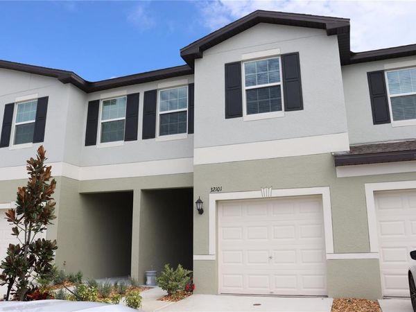 32101 POWDERPUFF MIMOSA DRIVE , SAN ANTONIO, FL 33576