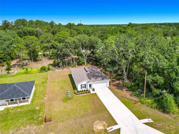 50 BAY ROAD , OCKLAWAHA, FL 32179