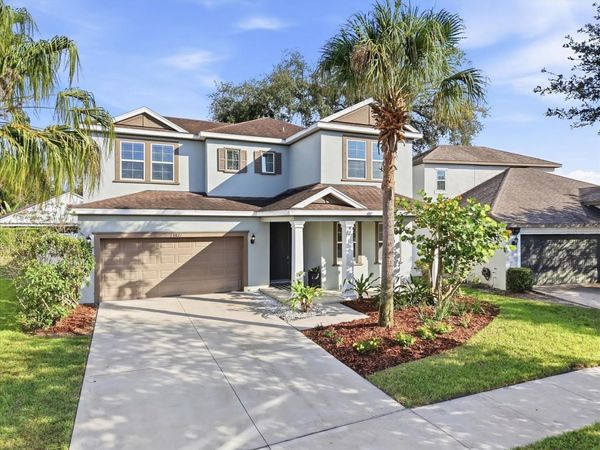 13821 FAIRWAY BUNKER DRIVE , TAMPA, FL 33626