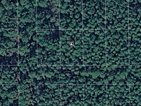 302 SIESTA DRIVE , GEORGETOWN, FL 32139