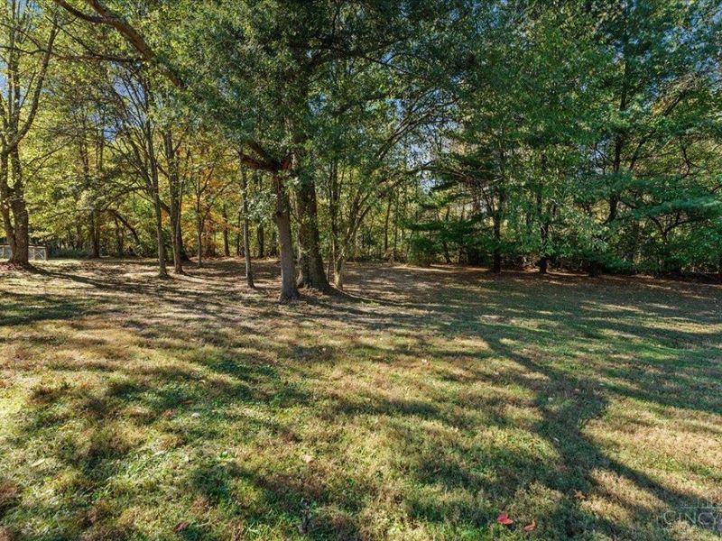 3235 Hoover Road, Bethel, OH 45106 Photo 41