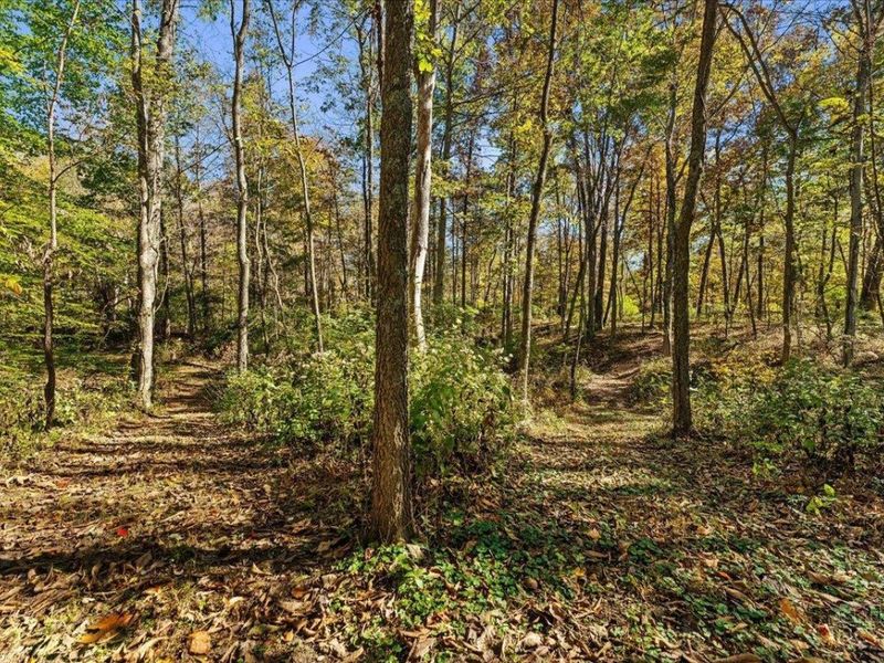 3235 Hoover Road, Bethel, OH 45106 Photo 42