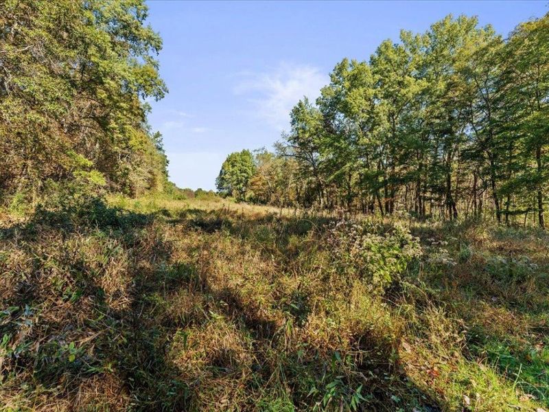 3235 Hoover Road, Bethel, OH 45106 Photo 45