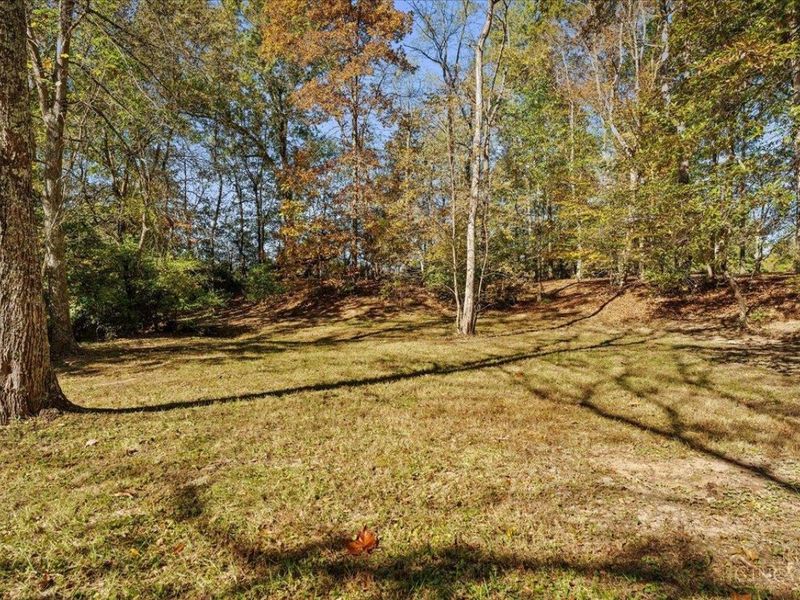 3235 Hoover Road, Bethel, OH 45106 Photo 47