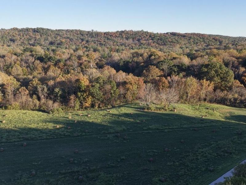 63 +/- Conley Road, Morning View, KY 41063 Photo 39