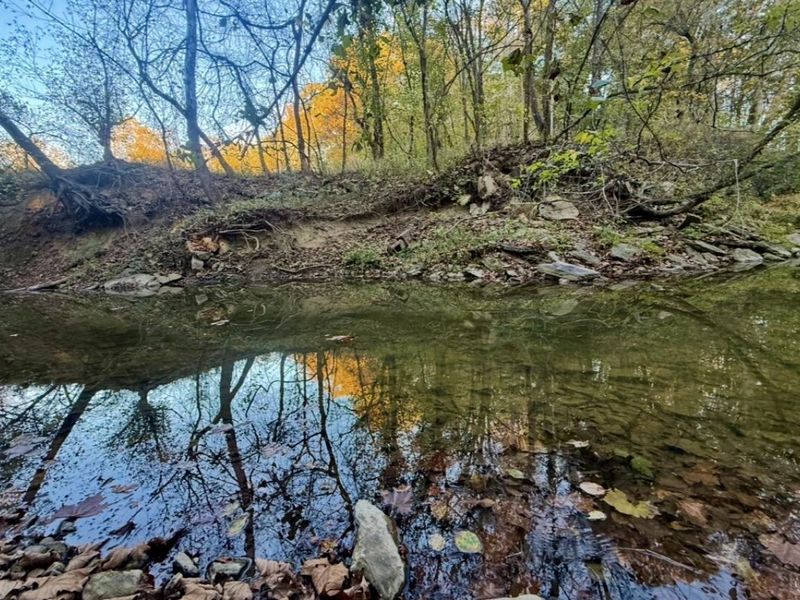 63 +/- Conley Road, Morning View, KY 41063 Photo 7