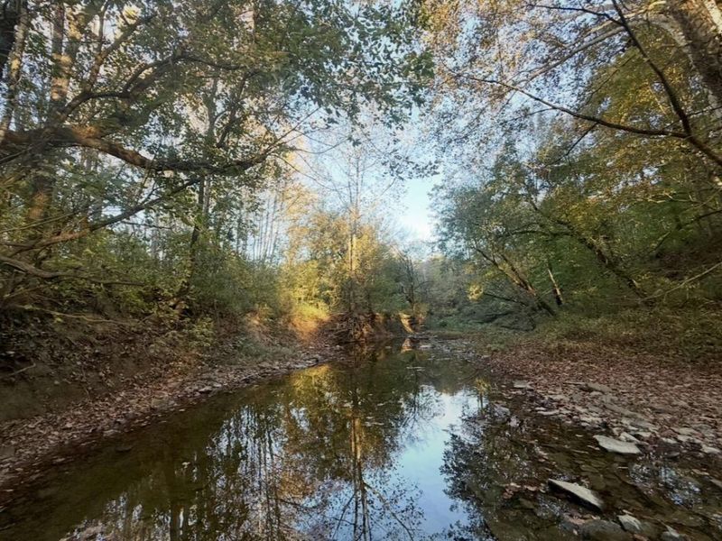 63 +/- Conley Road, Morning View, KY 41063 Photo 8