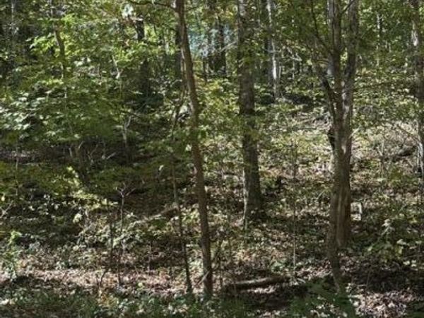 lot 1 & 2 Anderson Bend, Russellville, TN 37860