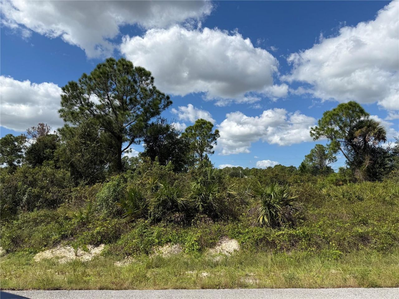 1203 Plumosa Avenue , Lot #3, Lehigh Acres, FL 33972 Photo