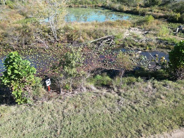 TRACT 2 OVERTON LOOP, Medon, TN 38356