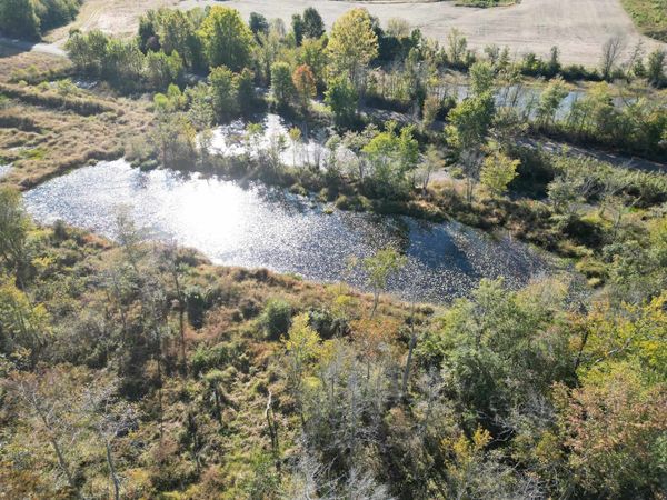 TRACT 3 OVERTON LOOP, Medon, TN 38356