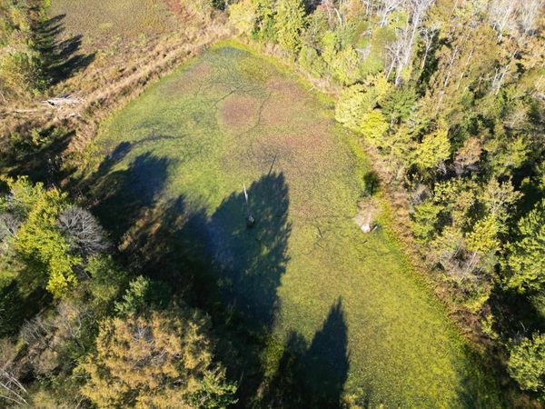 TRACT 5 OVERTON LOOP, Medon, TN 38356