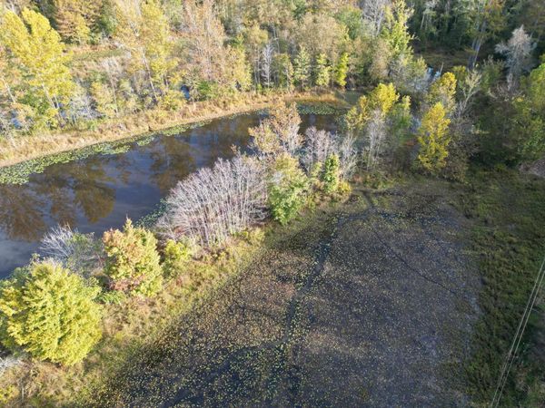 TRACT 6 OVERTON LOOP, Medon, TN 38356