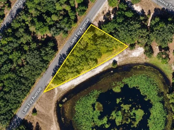 UNDETERMINED , OCKLAWAHA, FL 32179