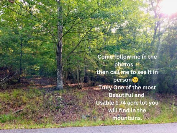 LOT 5 Lola Mae Way, Unit 5, Morganton, GA 30560