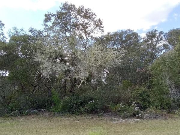 SW 24TH CIRCLE , OCALA, FL 34473