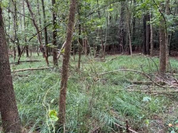 WILSON RD , GEORGETOWN, DE 19947