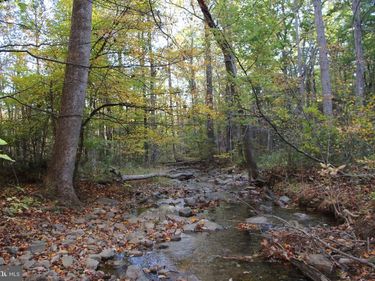 WARDENSVILLE GRADE , STAR TANNERY, VA 22654