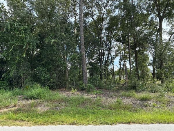 SE 159TH PLACE , SUMMERFIELD, FL 34491