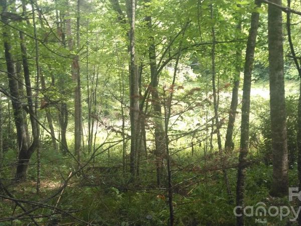7360 NC 183 Highway , Newland, NC 28657