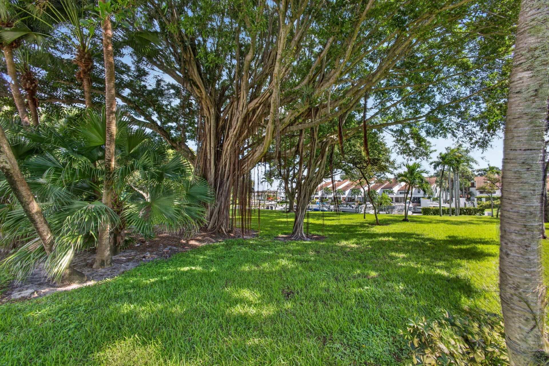 2439 Treasure Isle Drive, Unit 7, West Palm Beach, FL 33410 Photo