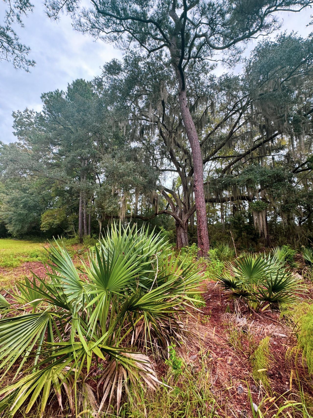 7721 Toogoodoo Road Photo 13