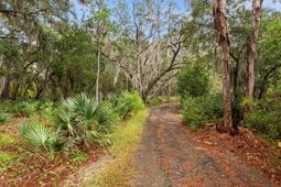 7721 Toogoodoo Road photo 4