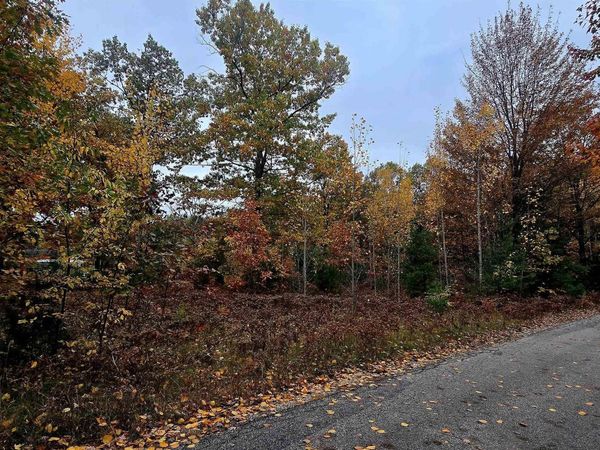 1915 Twin Birch Road NE, Kalkaska, MI 49646