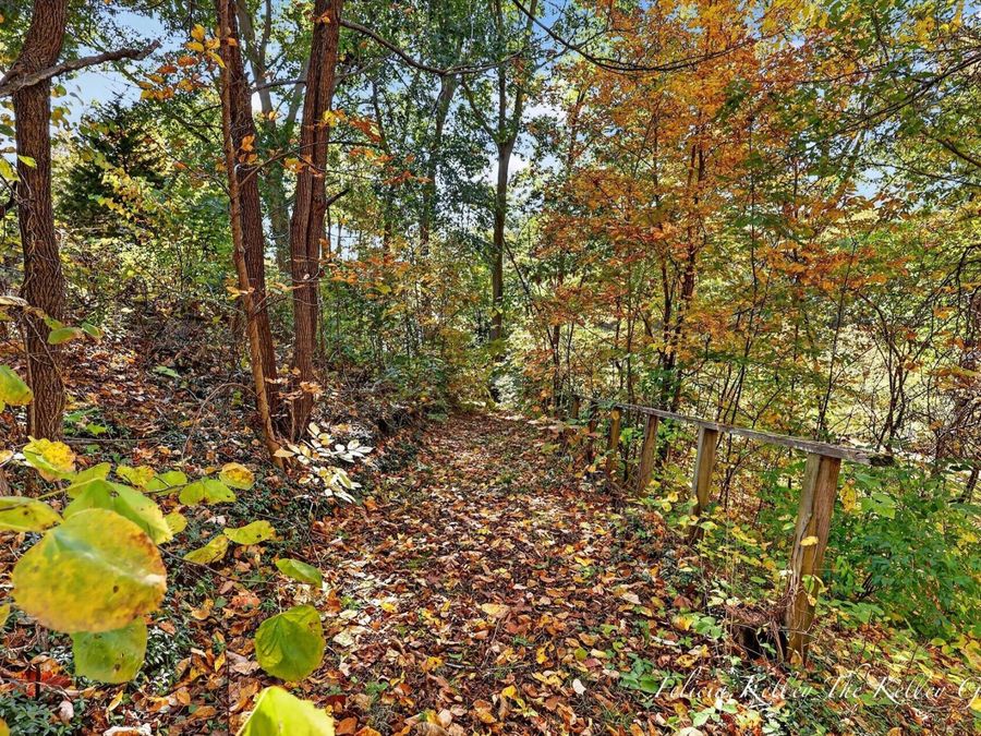 Property Image 59