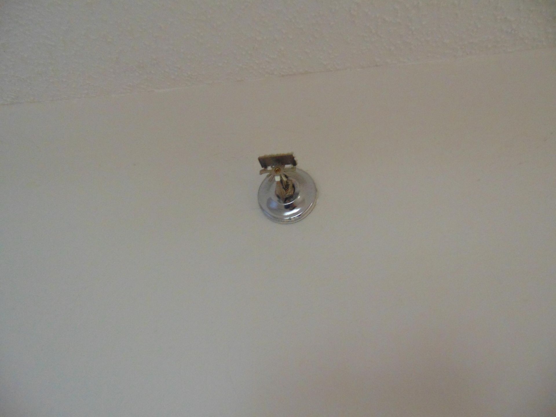 9220 SW 14th Street, Unit 3502, Boca Raton, FL 33428 Photo